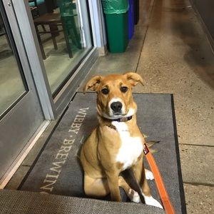 Meet your Posher, Kenny